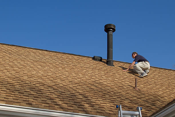 Best Skylight Installation and Repair  in Camp Point, IL